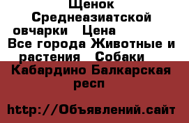 Щенок Среднеазиатской овчарки › Цена ­ 35 000 - Все города Животные и растения » Собаки   . Кабардино-Балкарская респ.